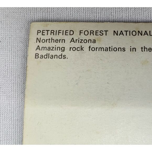 Vintage postcard Holographic Petrified Forest National Park Arizona Petley - Picture 8 of 8